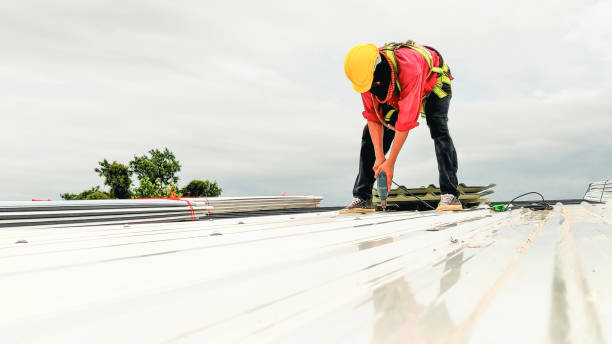 Best Roof Leak Repair  in Meridianville, AL