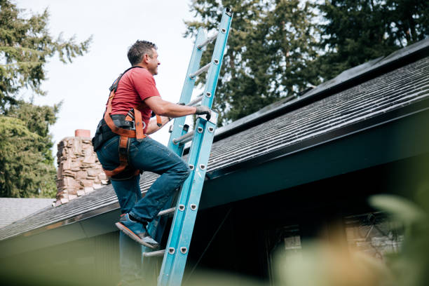 Best Metal Roofing Installation  in Meridianville, AL